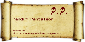 Pandur Pantaleon névjegykártya